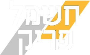 שירותי חשמל אמינים,חשמל פריק